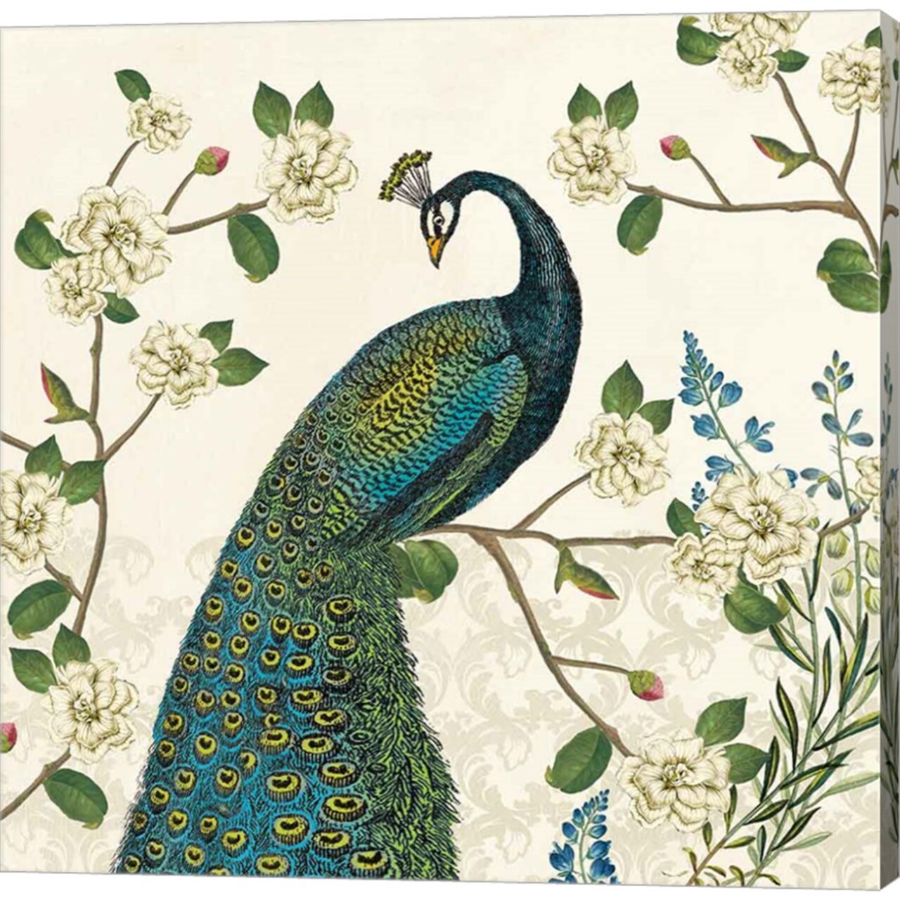 Peacock Arbor I Ivory v2 by Sue Schlabach 12" x 12" Canvas Wall Art
